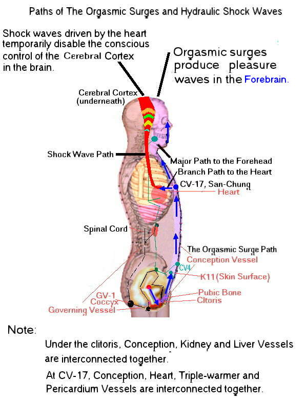 The Vagus-Spinal Nervous Stimulation Qi-Gong (打 通 任 督 二 脈 的 老 鷹 迷 走 神 功) .